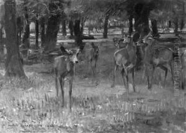 Deer In A Wooded Landscape Oil Painting by Rudolf Schramm-Zittau