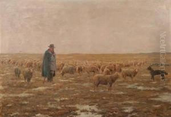 Man With Flock Of Sheep Oil Painting by Charles Schreyvogel