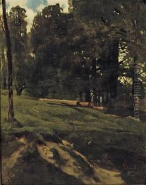 A Wooded Landscape With Cut Down Trees Lying In An Open Field Oil Painting by Carl Schuch