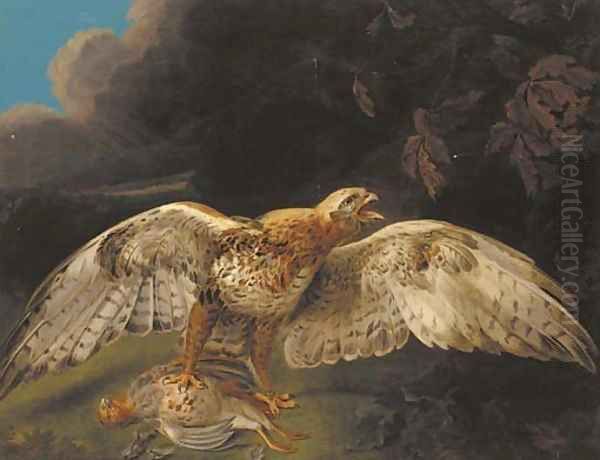 A hawk guarding his prey Oil Painting by Stephen Elmer