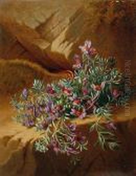 Alpine Flowers, A Pair Oil Painting by Josef Schuster