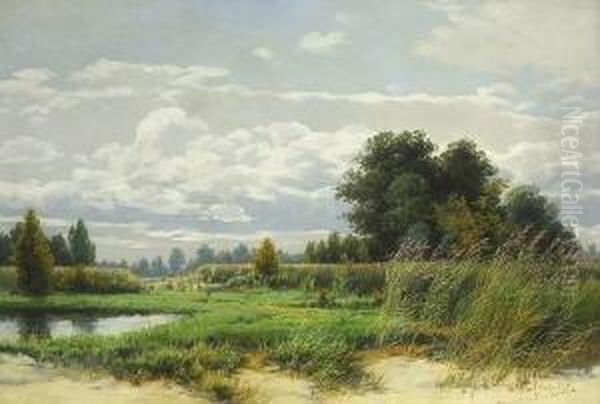 Sommerliche
 Schilflandschaft. Oil Painting by Wilhelm Schutze