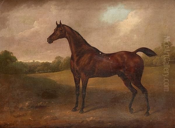 A Bay Racehorse In A Landscape Oil Painting by Charles Henry Schwanfelder