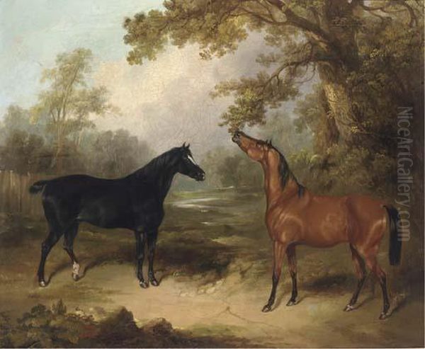 A Black Horse And A Chestnut Horse In An Oak Wood Oil Painting by Charles Henry Schwanfelder