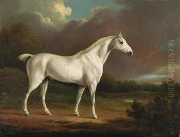 A Grey Hunter In An Extensive Wooded Landscape Oil Painting by Charles Henry Schwanfelder