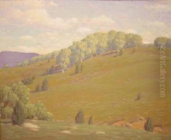 Rolling Hills Oil Painting by Andrew Thomas Schwartz