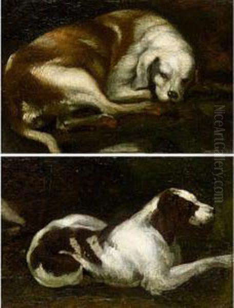 Studies Of Resting Hounds Oil Painting by Sinibaldo Scorza