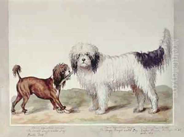 The Small Rough Water Dog or Poodle and the Large Rough Water Dog Oil Painting by Sydenham Teast Edwards