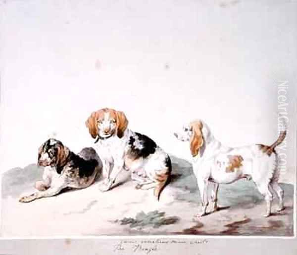 The Beagle Oil Painting by Sydenham Teast Edwards