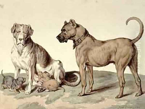 The Mastiff Oil Painting by Sydenham Teast Edwards