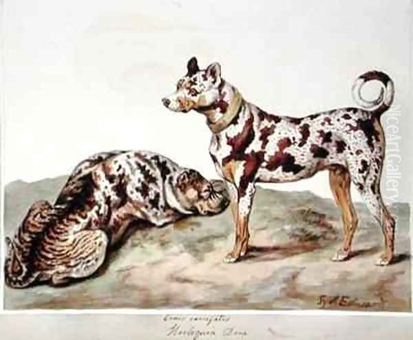 The Harlequin Dane Oil Painting by Sydenham Teast Edwards