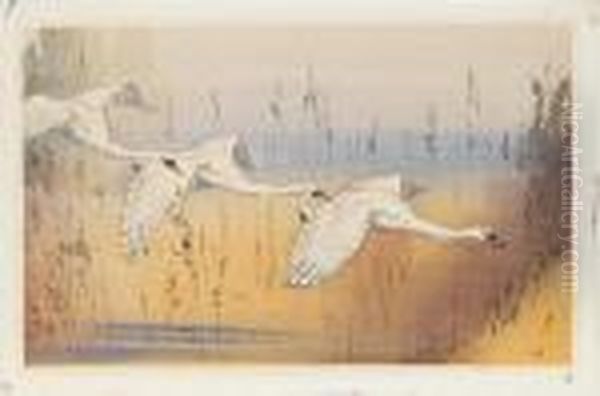 Swans In Flight by Allen William Seaby