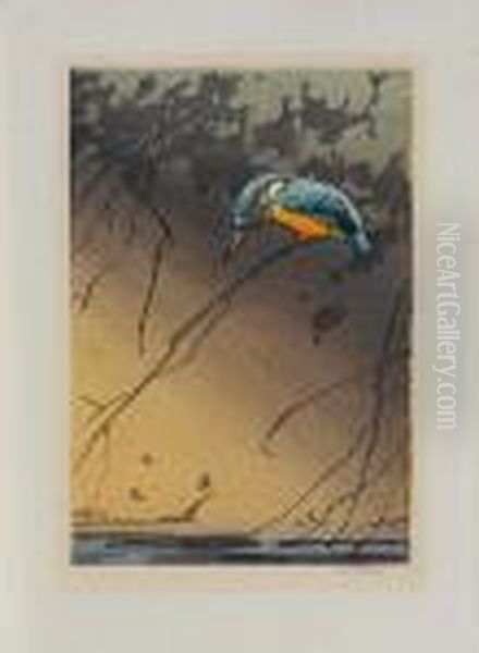 Kingfisher by Allen William Seaby