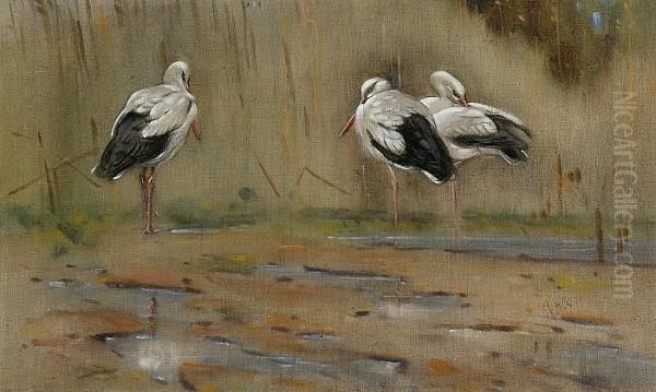 Storks By The Nile by Allen William Seaby