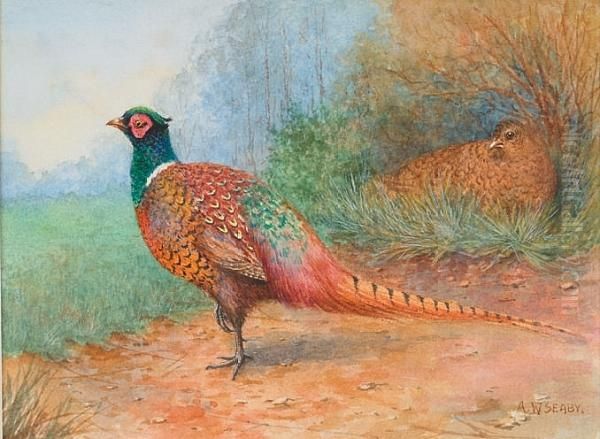 A Brace Of Pheasant Nesting by Allen William Seaby