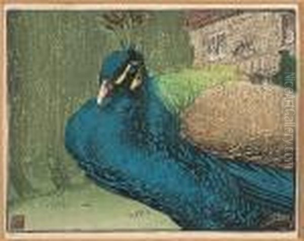 Peacock by Allen William Seaby