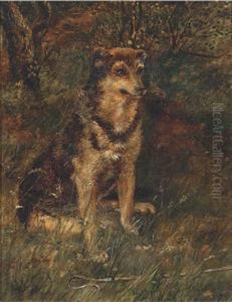 A Dog In A Wood Oil Painting by Allen Culpepper Sealey