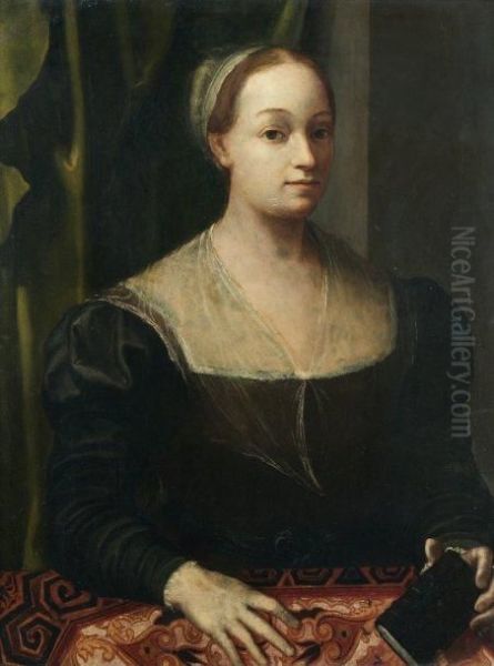 Portrait De Femme Au Livre Ardoise Oil Painting by Sebastiano Del Piombo