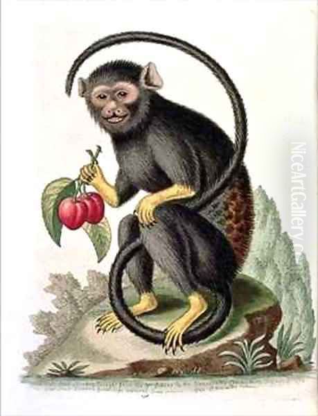 A Little Black Monkey Oil Painting by George Edwards