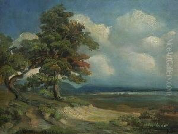 Voralpenlandschaft. Oil Painting by August Seidel