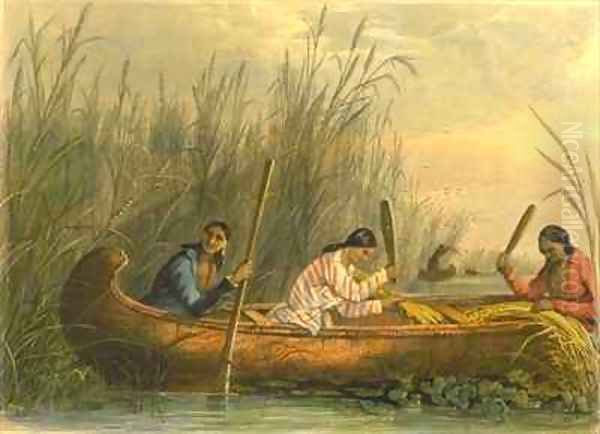 Gathering Wild Rice Oil Painting by Eastman, Captain Seth