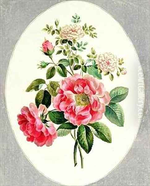 Rose De Meux and Damask Rose Oil Painting by John Edwards