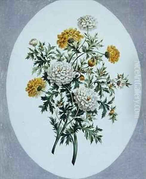 Chrysanthemum Oil Painting by John Edwards