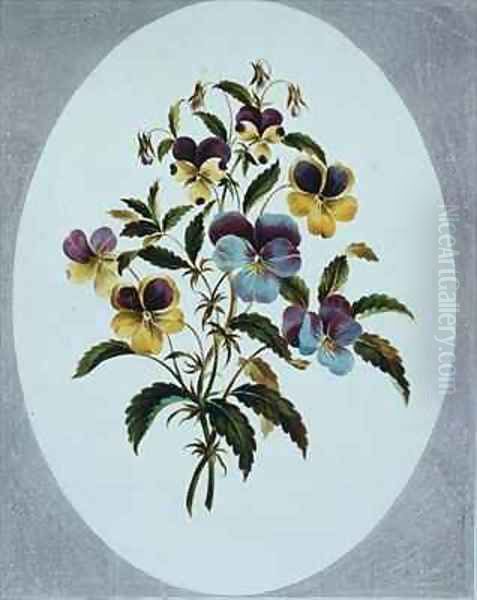 Heartsease varieties Oil Painting by John Edwards