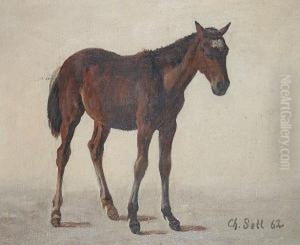 Study Of A Horse Oil Painting by Christian I Sell