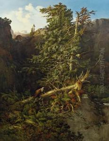 Waldansicht Mit Zwei Geiern Oil Painting by Josef Selleny