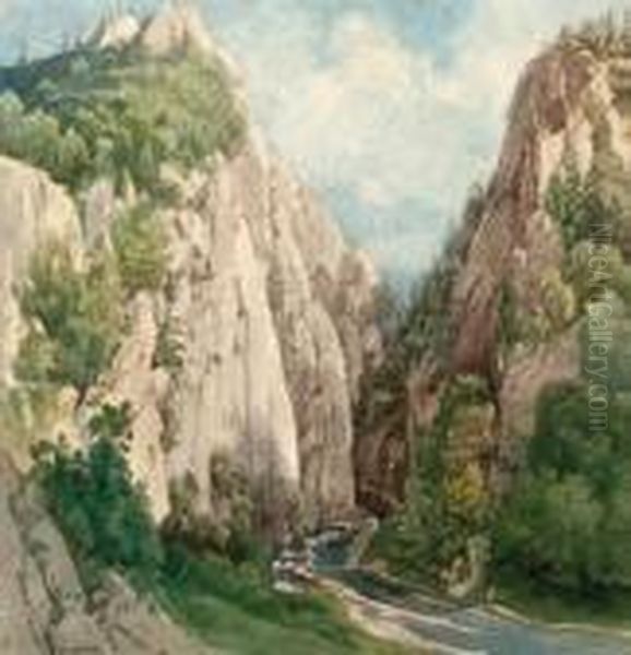 Gasteiner Klamm Oil Painting by Josef Selleny