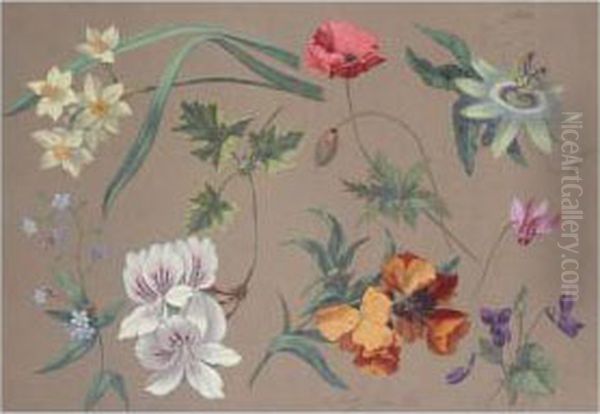 Flower Studies Oil Painting by Carl Adolf Senff