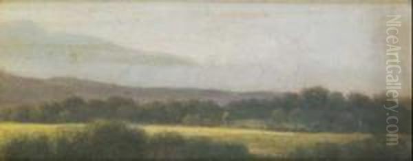 Il Pratone Alle Cascine Di Firenze Oil Painting by Raffaello Sernesi