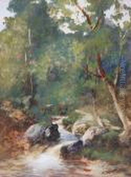 A Woodland Stream Oil Painting by John Shapland