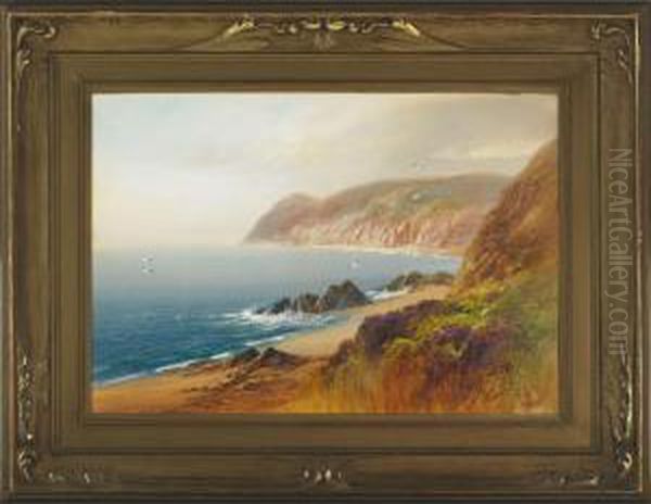 The Foreland, Lynmouth, N. Devon Oil Painting by John Shapland