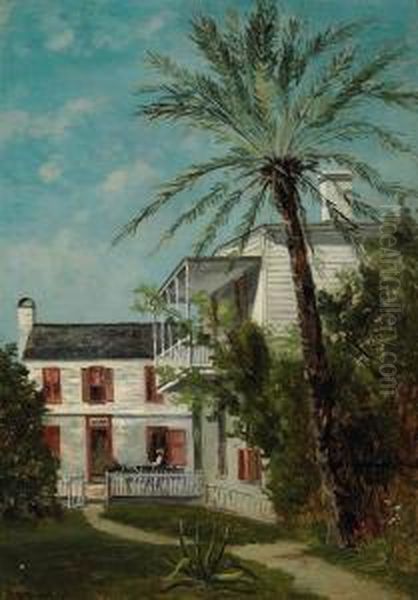 Palm In St. Augustine, Florida Oil Painting by Frank Henry Shapleigh