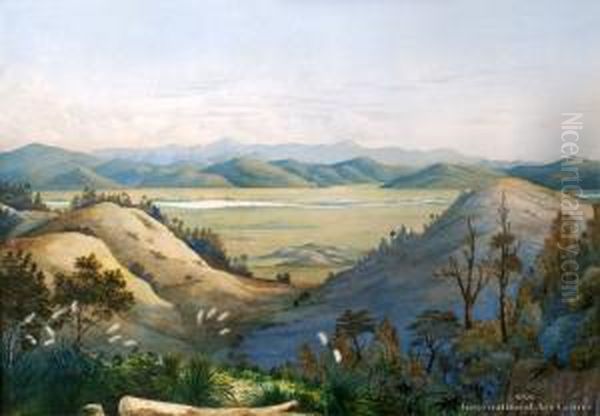 View Of The Mangatawhiri Swamp From Pokeno - Koheroa Pah In The Distance Oil Painting by Alfred Sharpe