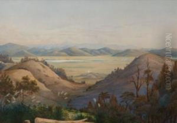 View Of The Mangatawhiri Swamp Frompokeno - Koheroa Pah In The Distance Oil Painting by Alfred Sharpe