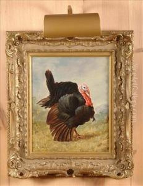 A Turkey Oil Painting by John Byam Liston Shaw