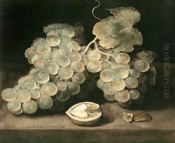 Grape with Walnut Oil Painting by Jacob van Es