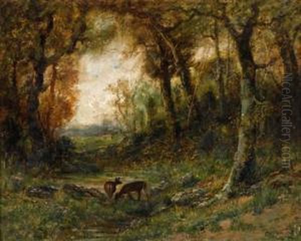 Forest Interior With Deer Oil Painting by Christopher H. Shearer