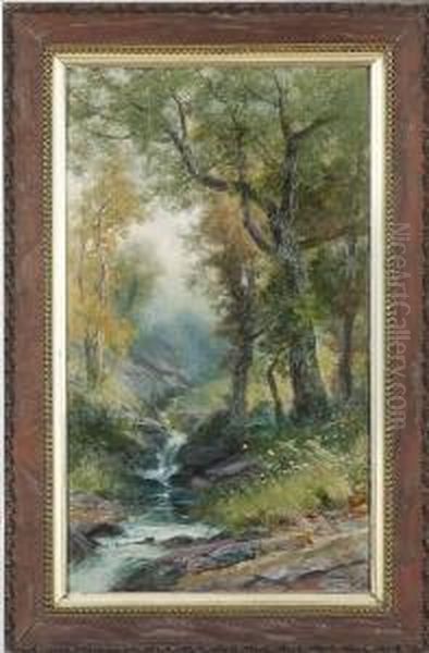 Creek Among The Trees Oil Painting by Christopher H. Shearer