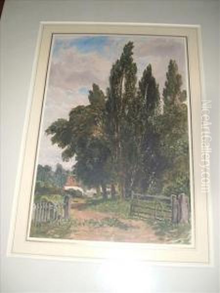 View Oftrees By A Farm Lane Oil Painting by George Sheffield