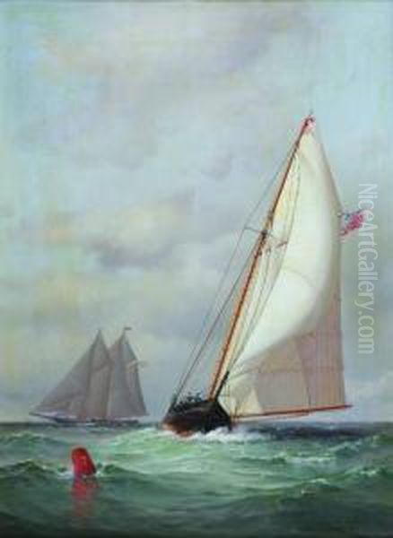 Sailboats Oil Painting by Warren W. Sheppard