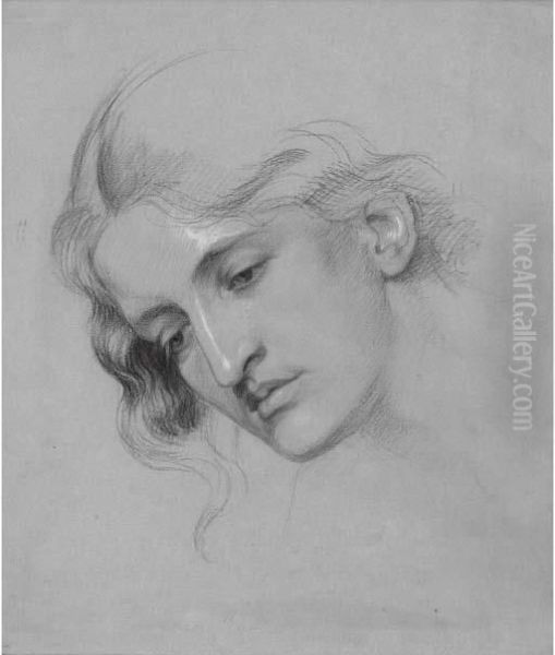 Head Study Of A Young Girl Oil Painting by Frederic James Shields