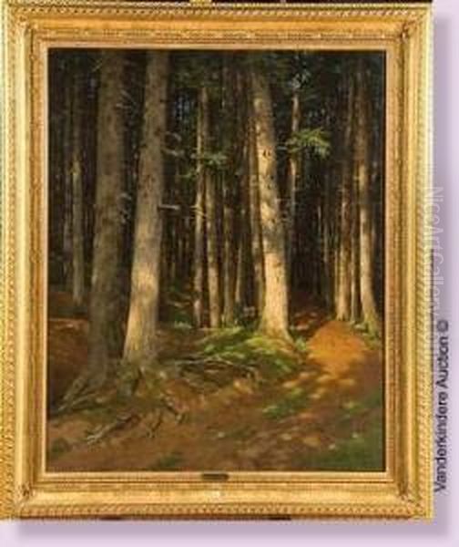 Sous-bois Ensoleille Oil Painting by Andrei Nikolaevich Shilder