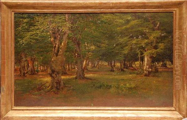 Trees In A Landscape Oil Painting by Andrei Nikolaevich Shilder