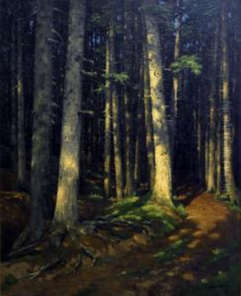 Foret De Pins Oil Painting by Andrei Nikolaevich Shilder