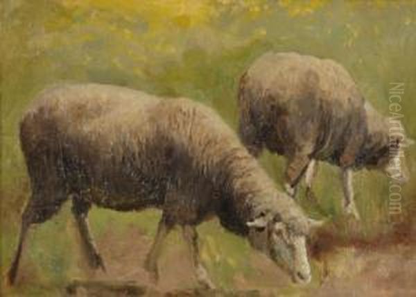 Etude De Moutons Oil Painting by John-Lewis Shonborn