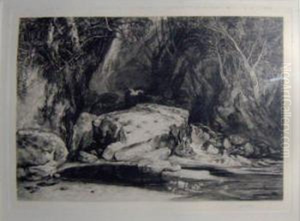 'wooded Glade With Pool', Etching, 27.5cm X 38cm, Signed Oil Painting by Frank Short